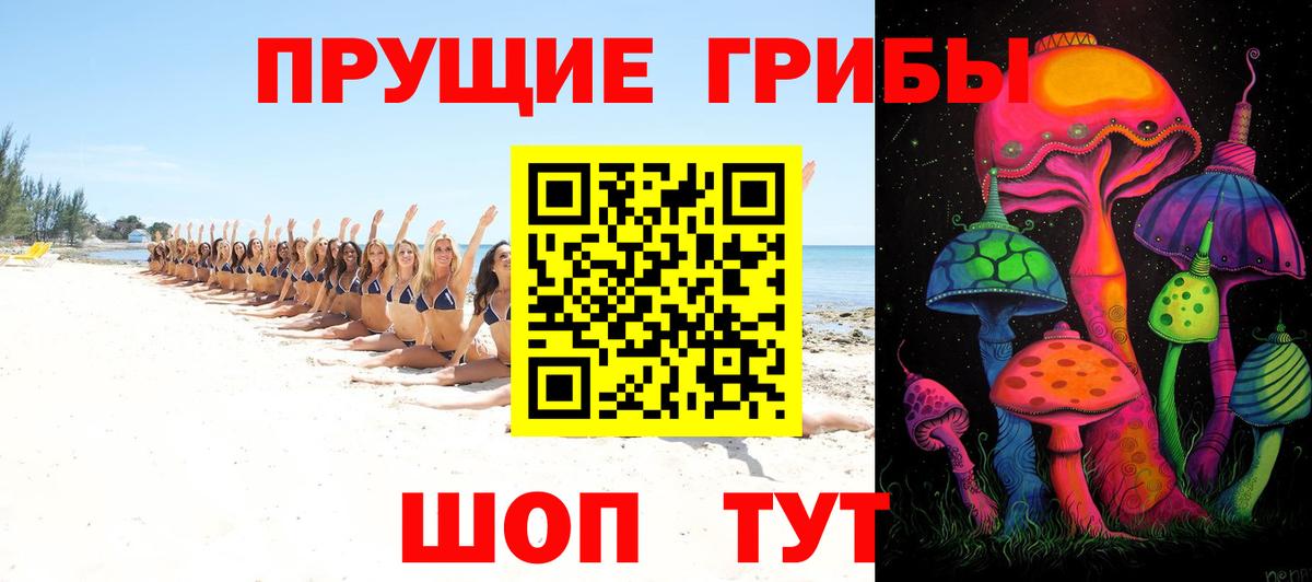 Галлюциногенные грибы GOLDEN TEACHER  Вход с VPN  Химки  Галлюциногенные грибы Psilocybine cubensis 
