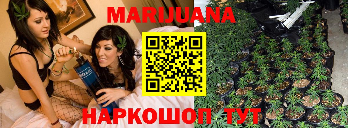 Шишки марихуана SATIVA & INDICA Химки